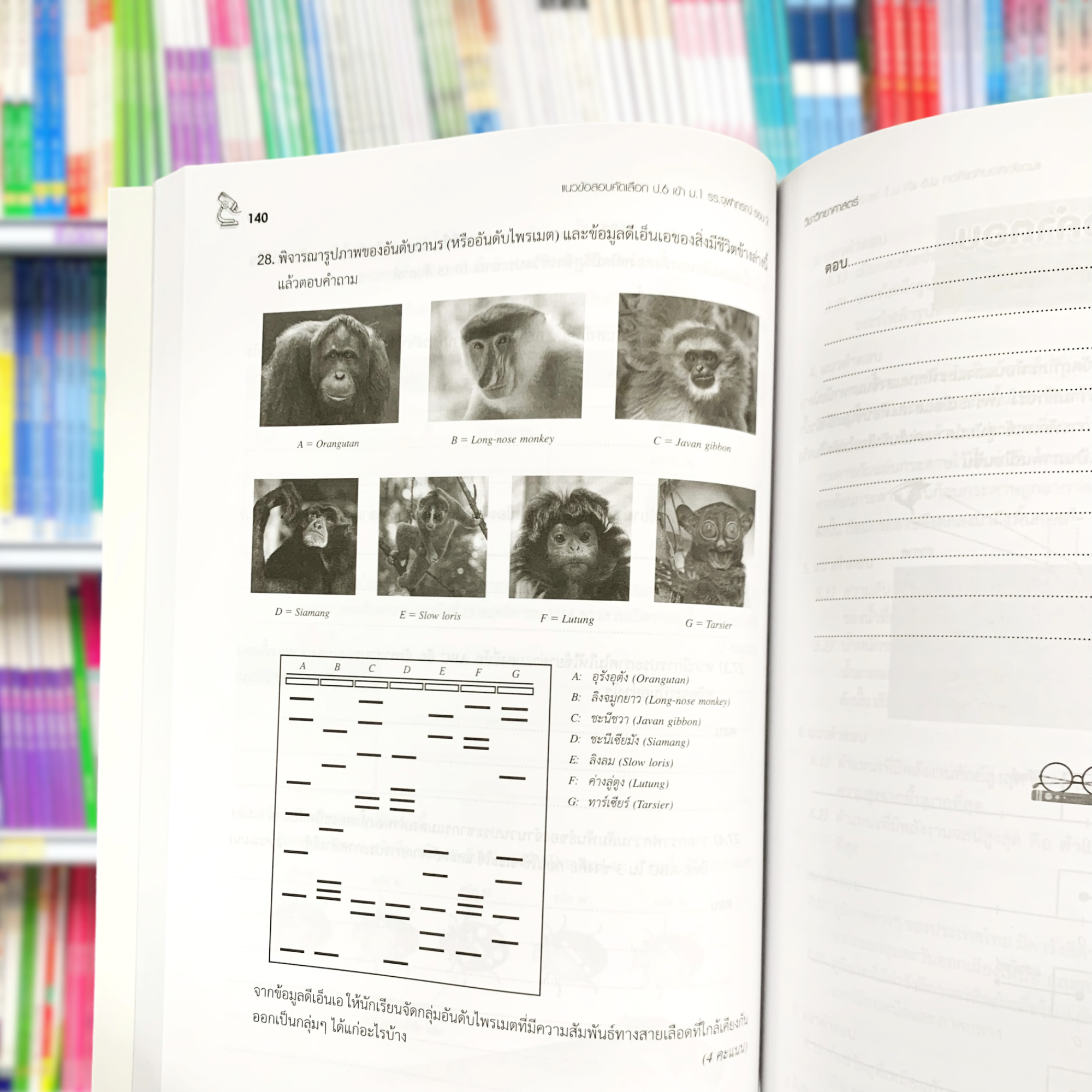 แนวข้อสอบคัดเลือก ป.6 เข้า ม.1 วิทย์จุฬาภรณ์ รอบที่ 2 ฉบับปรับปรุง 2567