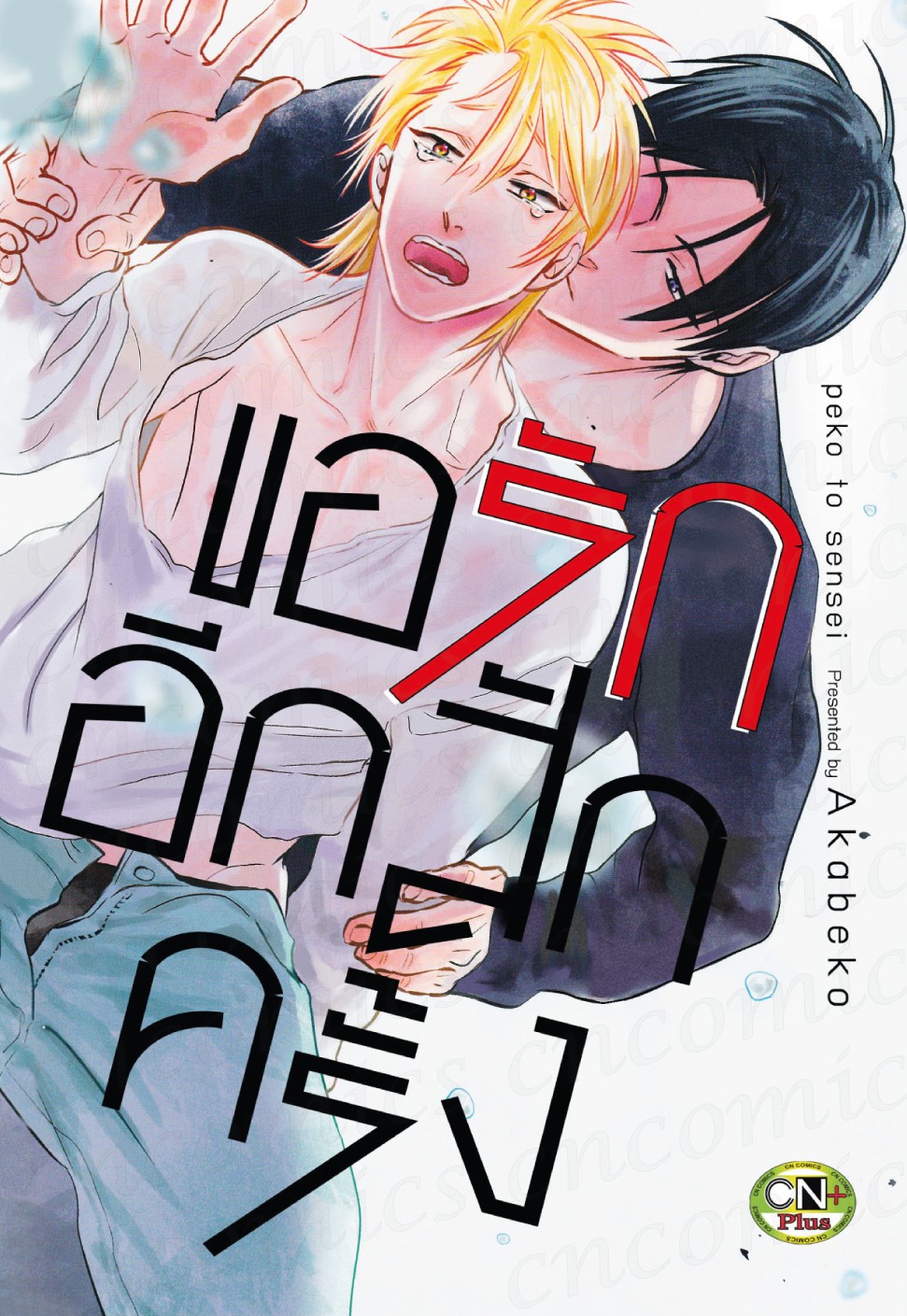 ขอรักอีกสักครั้ง : Akabeko