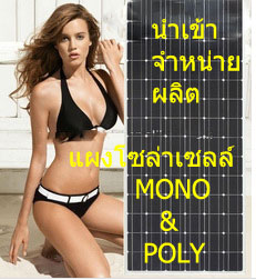 แผงโซล่าเซลล์ solarcell polycrystalline 100W