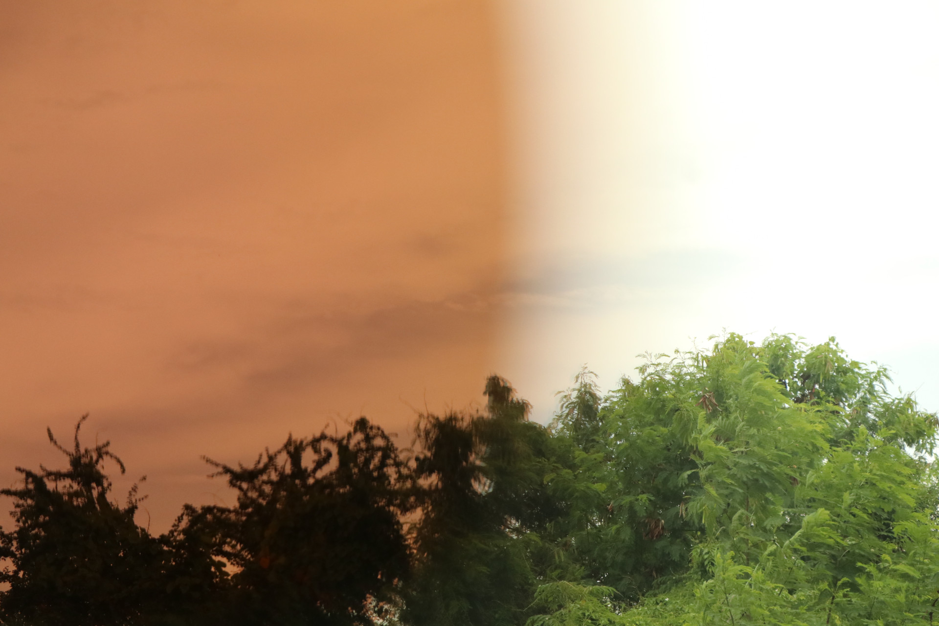 คลิปออนกันแดด Clipsster รุ่น Recster O Signature Edition เลนส์สีปรอทฟ้า