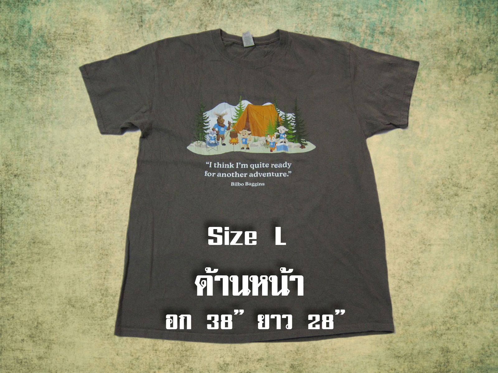 เสื้อยืดมือสอง USA แนววินเทจ (แขนสั้น)