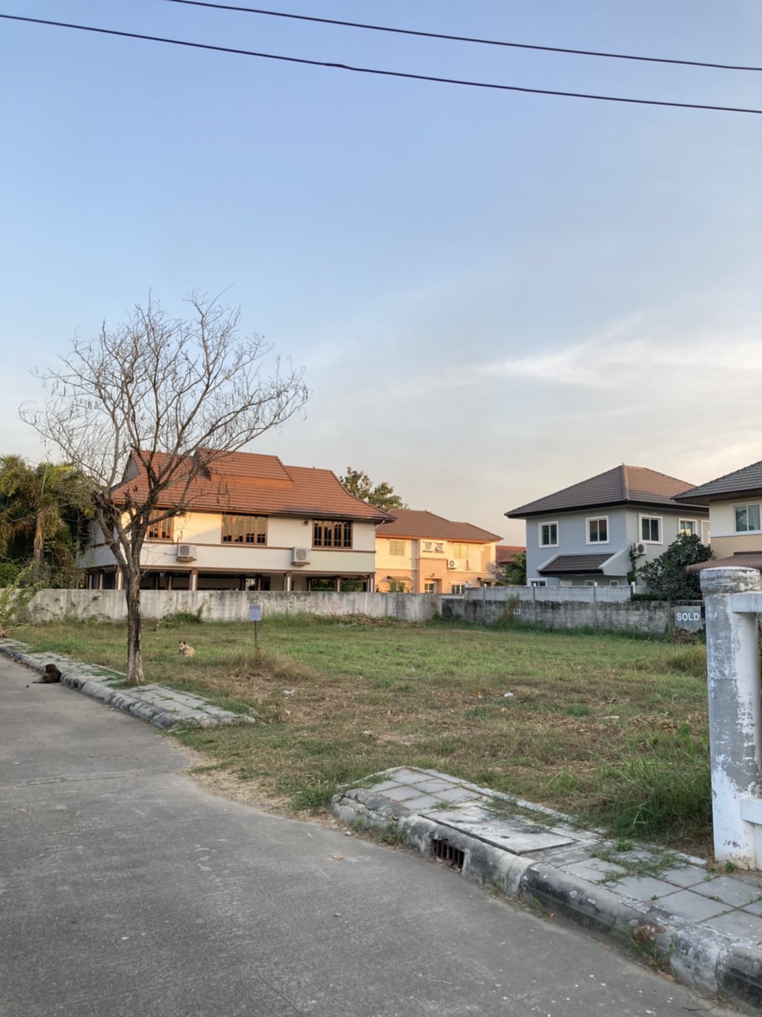 ขายที่ดินเปล่า 138 ตร.ว. หมู่บ้านชวนชื่น บางนา 1/2 อำเภอบางบ่อ จังหวัดสมุทปราการ – 05542