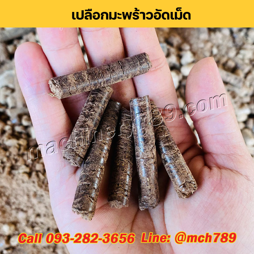 เครื่องอัดเม็ดเชื้อเพลิงชีวมวลขนาดเล็ก MINI กำลังผลิตเริ่มต้น 150-1,200 กก./ชม. เครื่องอัดเม็ดเชื้อเพลิงชีวมวล เครื่องอัดแท่งชีวมวล เครื่องอัดเม็ดรุ่นเล็ก Mini Wood Pellet Making Machine