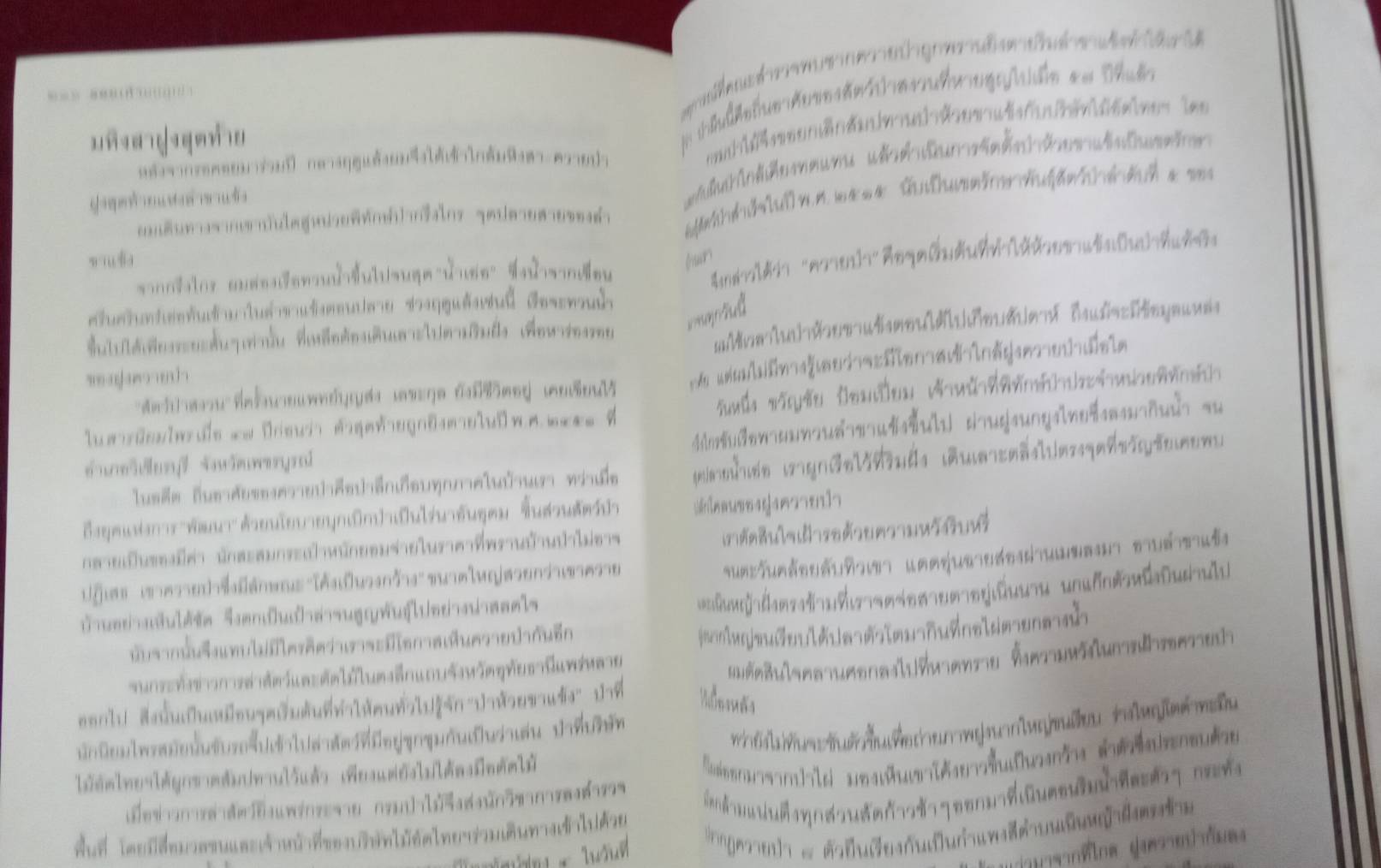 รอยเท้าบนภูเขา : ธเนศ งามสม