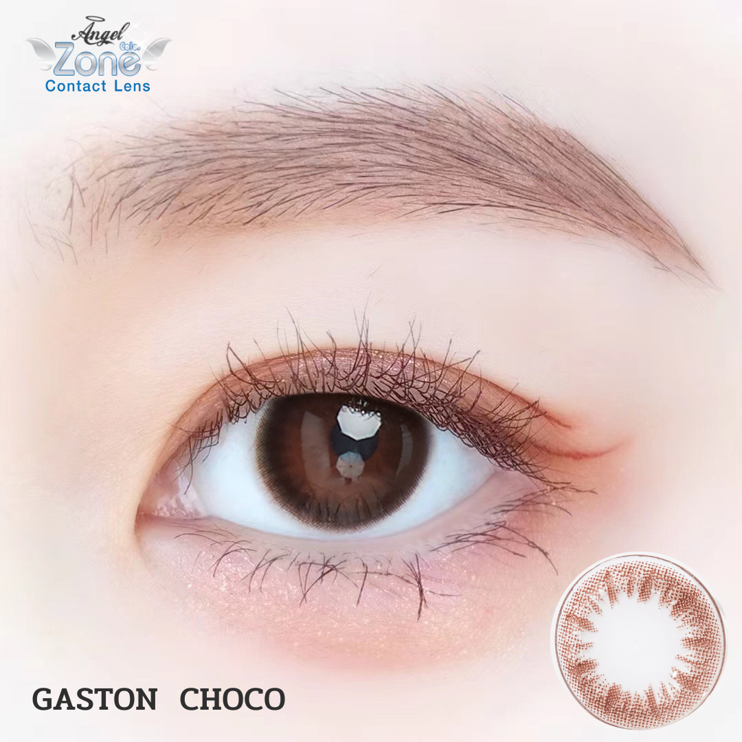 WS06 รุ่น 14.2 Gaston Choco Step 1-3 WS Y