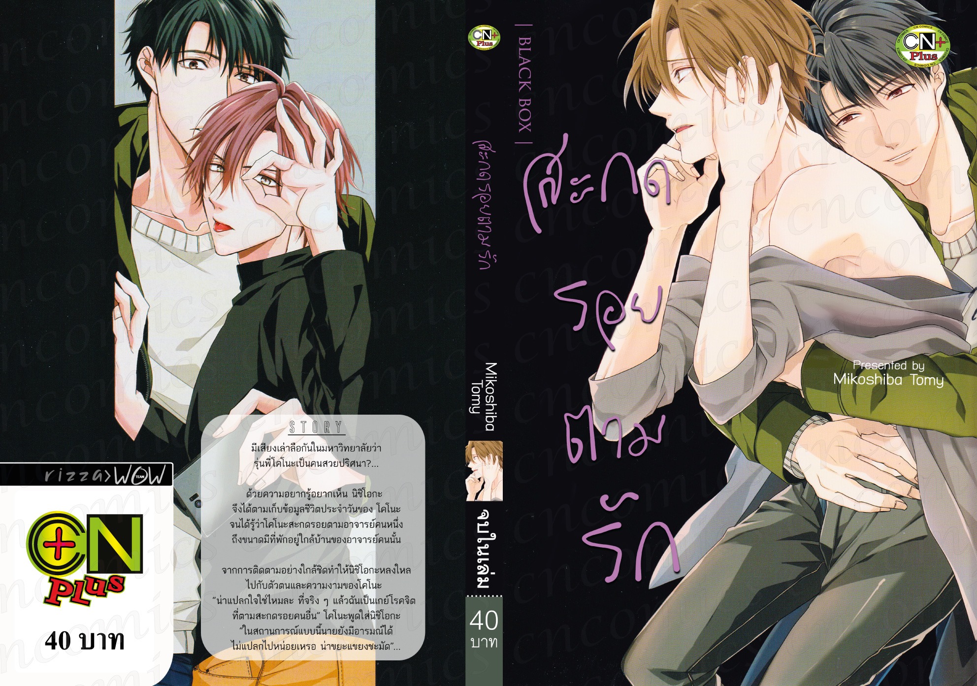 สะกดรอยตามรัก : Mikoshiba Tomy