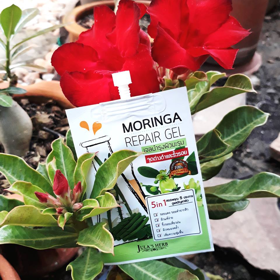 Moringa Repair Gel ลดรอยดำ รอยแดง รอยแผลเป็นให้จางลง