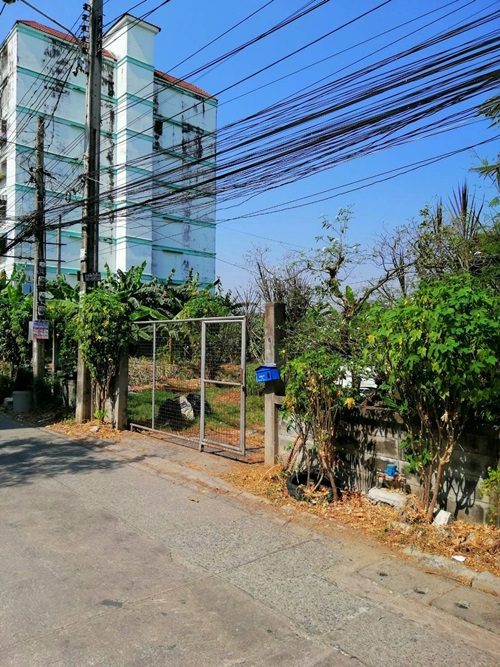 ให้เช่าที่ดินเปล่า 194 ตร.ว บางนา ซอยอุดมสุข 42 บางนา-ตราด ใกล้เซ็นทรัลบางนา - 05621
