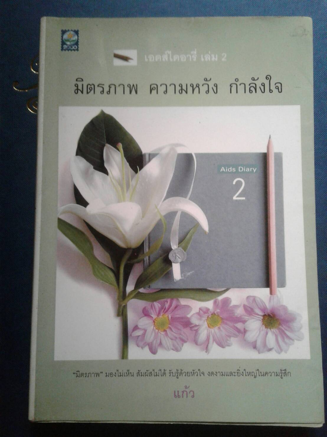 เอดส์ไดอารี่ เล่ม 2 มิตรภาพ ความหวัง กำลังใจ : แก้ว