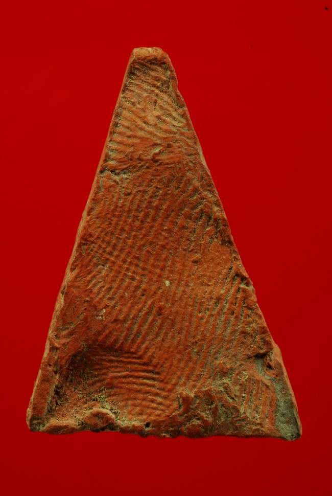 พระนางพญา หลวงพ่อแฉ่ง วัดบางพัง เนื้อดิน นนทบุรี