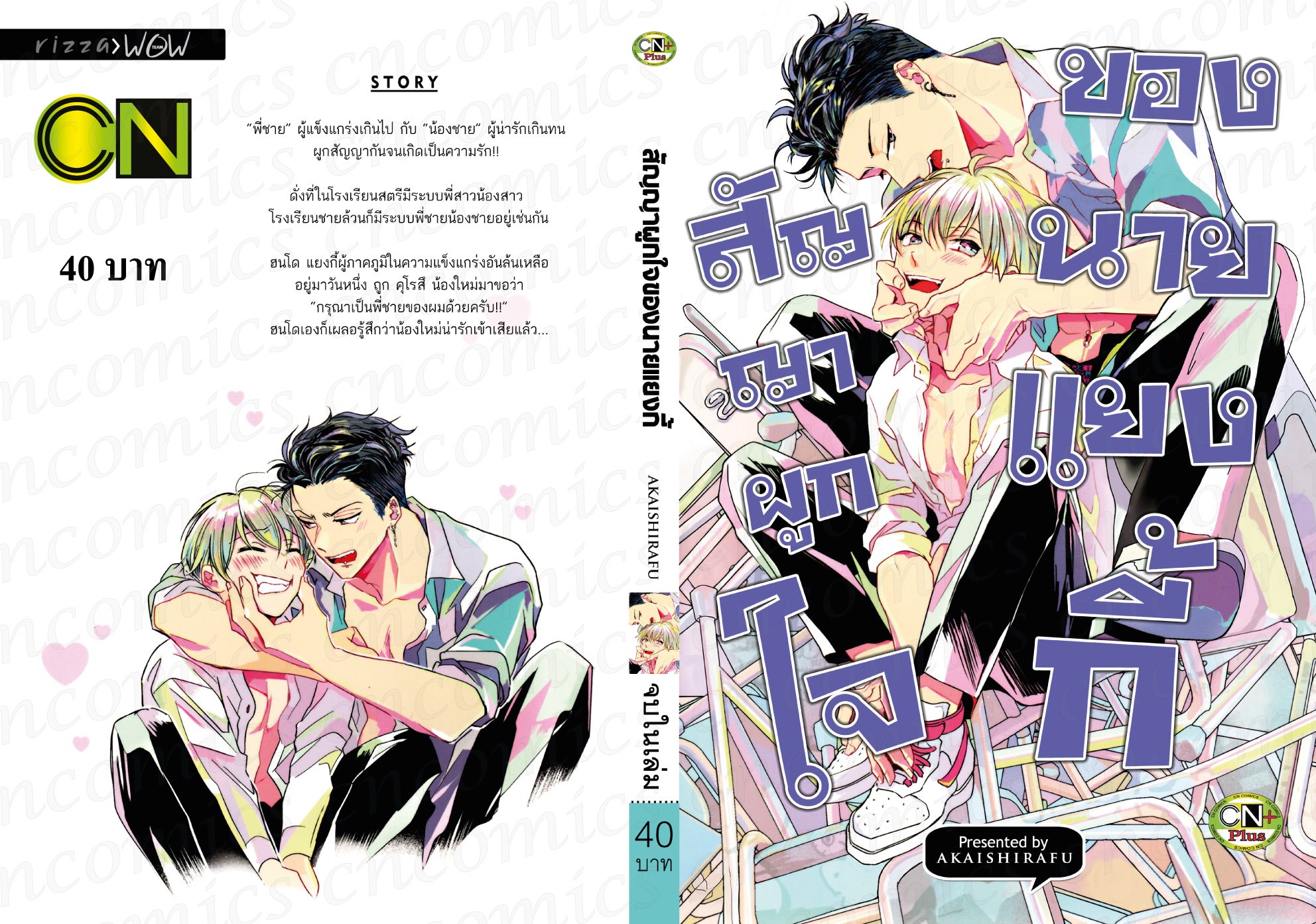 สัญญาผูกใจของนายแยงกี้ : AKAISHIRAFU