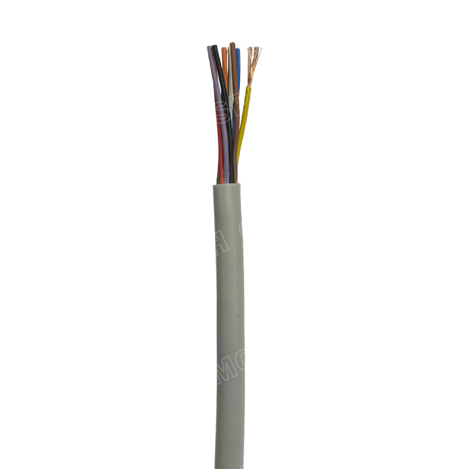 [ 100 เมตร ] SJK 12C x 0.3 Sq.mm. สายมัลติคอร์ 12 คอร์ Multicore Cable สาย AV Control Cable SJK สาย คอนโทรล 0.3 sq.mm. Multi Core Cable 0.3mm² Control Signal Power Control Cable Control Wire สายคอนโทรล สายมัลติคอ สายสัญญาณ สายคอนโทรล เบอร์ 0.3 มม²