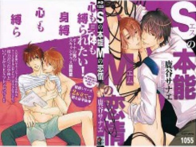 S no Honnou M no Renjou / ROKUYA Sanae - MD1055