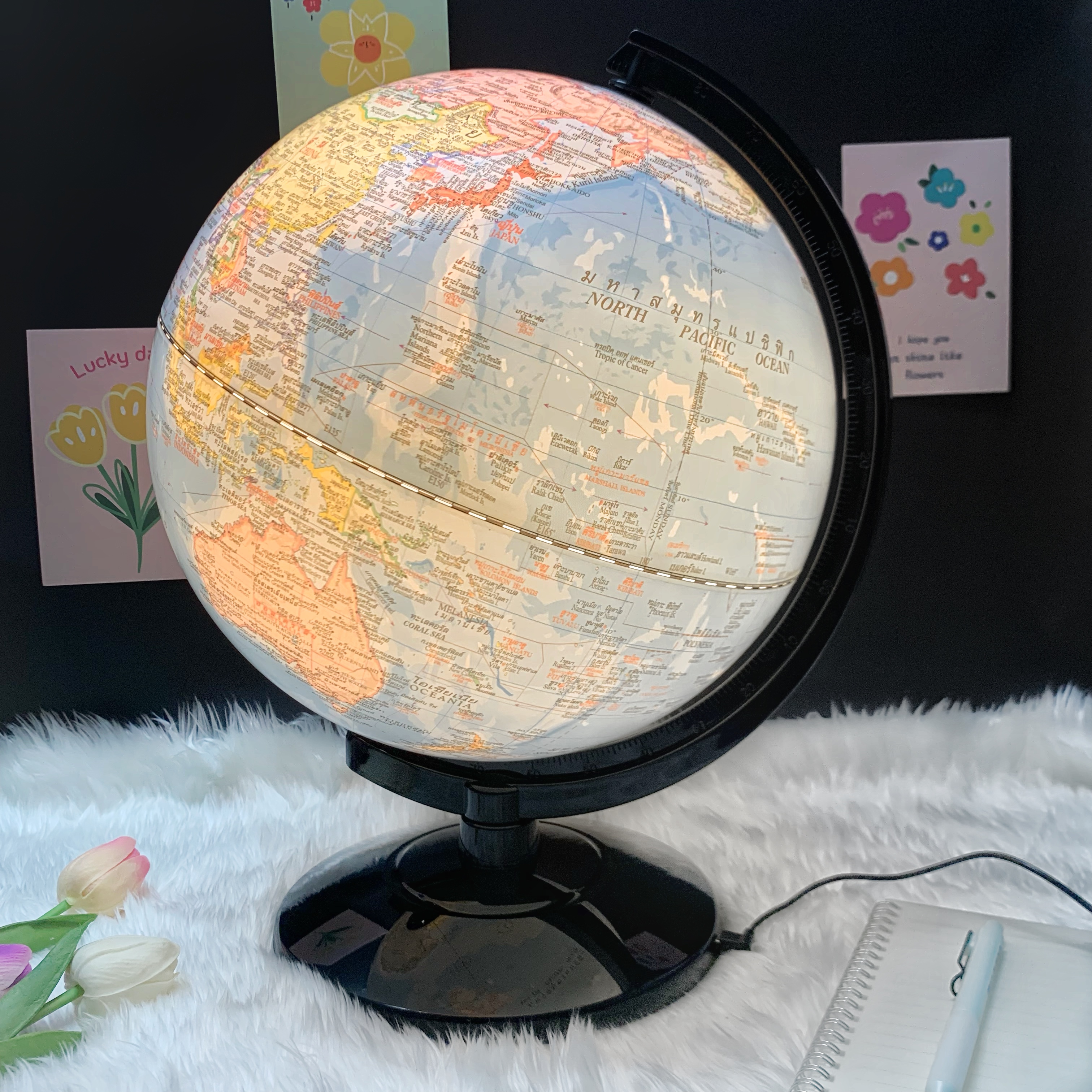 ลูกโลกจำลอง Bennon 8 10 และ 12 นิ้ว แบบมีไฟและไม่มีไฟ มีทั้งฐานไม้ ฐานพลาสติก