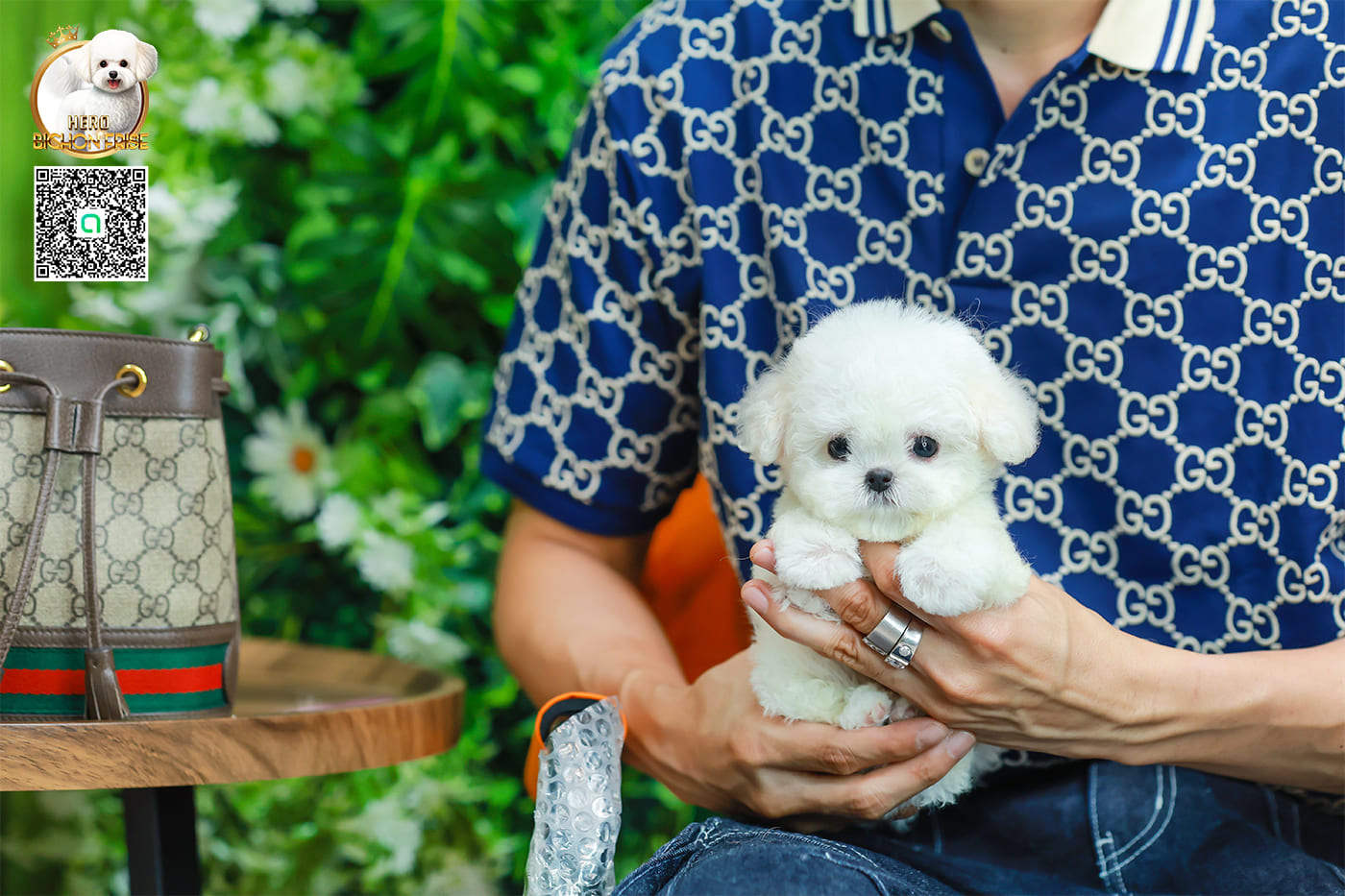 มินิบิชอง BCF-24529 เพศหญิง สีขาว น่ารักมาก ขนนุ่มขนแน่น หน้าแบ๊ว เห็นแล้วใจละลายมาก ถ้าได้อุ้มแล้วจะวางไม่ลงแน่นอน มีใบรับรองจากสมาคมพัฒนาพันธุ์สุนัข (ใบเพ็ดดีกรีเต็มใบ) ส่งทั่วประเทศ