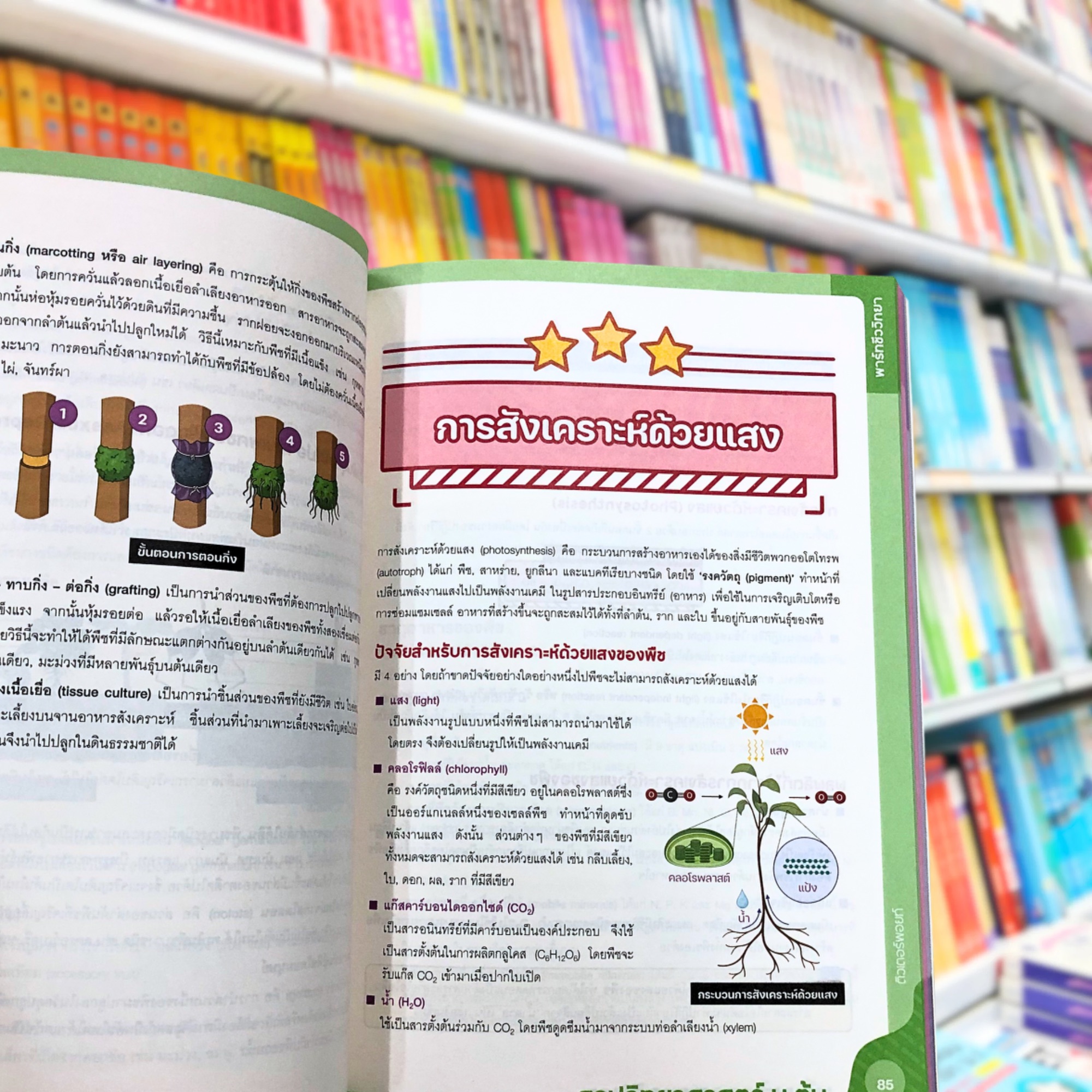 SUPER SCIENCE สรุปวิทยาศาสตร์ ม.ต้น (ฉบับพิมพ์ใหม่)