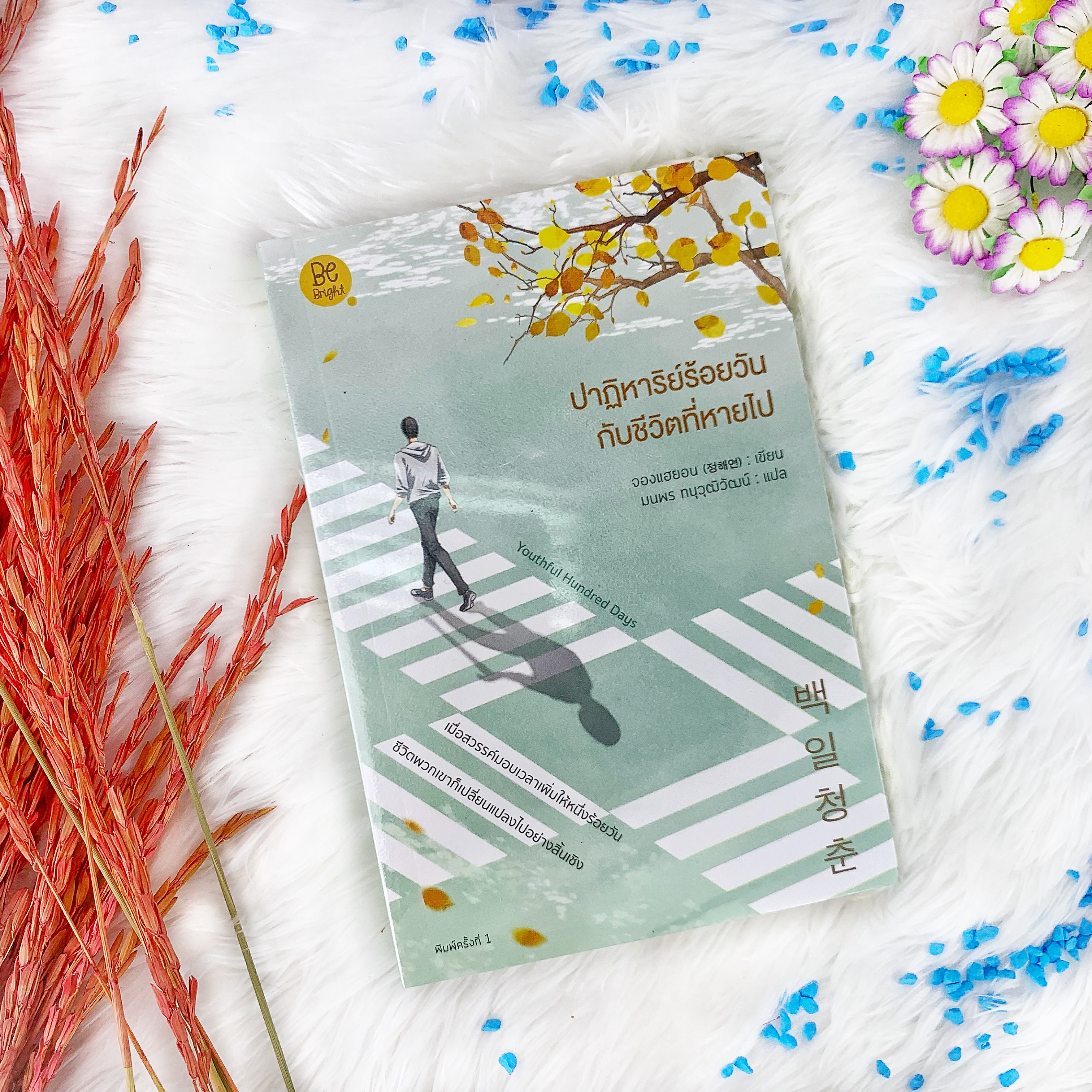 หนังสือ ปาฏิหาริย์ร้อยวัน กับชีวิตที่หายไป
