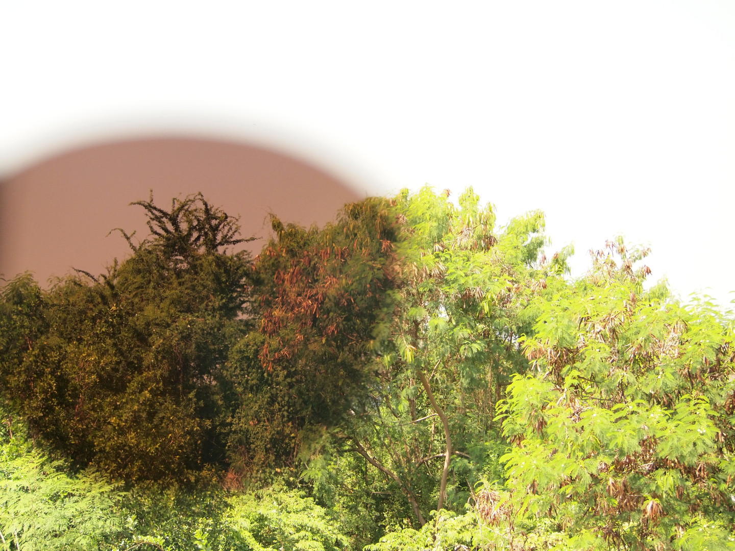 คลิปออนกันแดด Clipsster รุ่น Roundster Signature Edition เลนส์สีปรอทฟ้า