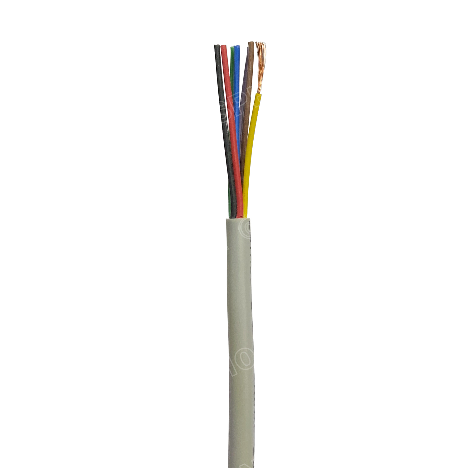 [ 100 เมตร ] SJK 7C x 0.3 Sq.mm. สายมัลติคอร์ 7 คอร์ Multicore Cable สาย AV Control Cable SJK สาย คอนโทรล 0.3 sq.mm. Multi Core Cable 0.3mm² Control Signal Power Control Cable Control Wire สายคอนโทรล สายมัลติคอ สายสัญญาณ สายคอนโทรล เบอร์ 0.3 มม²