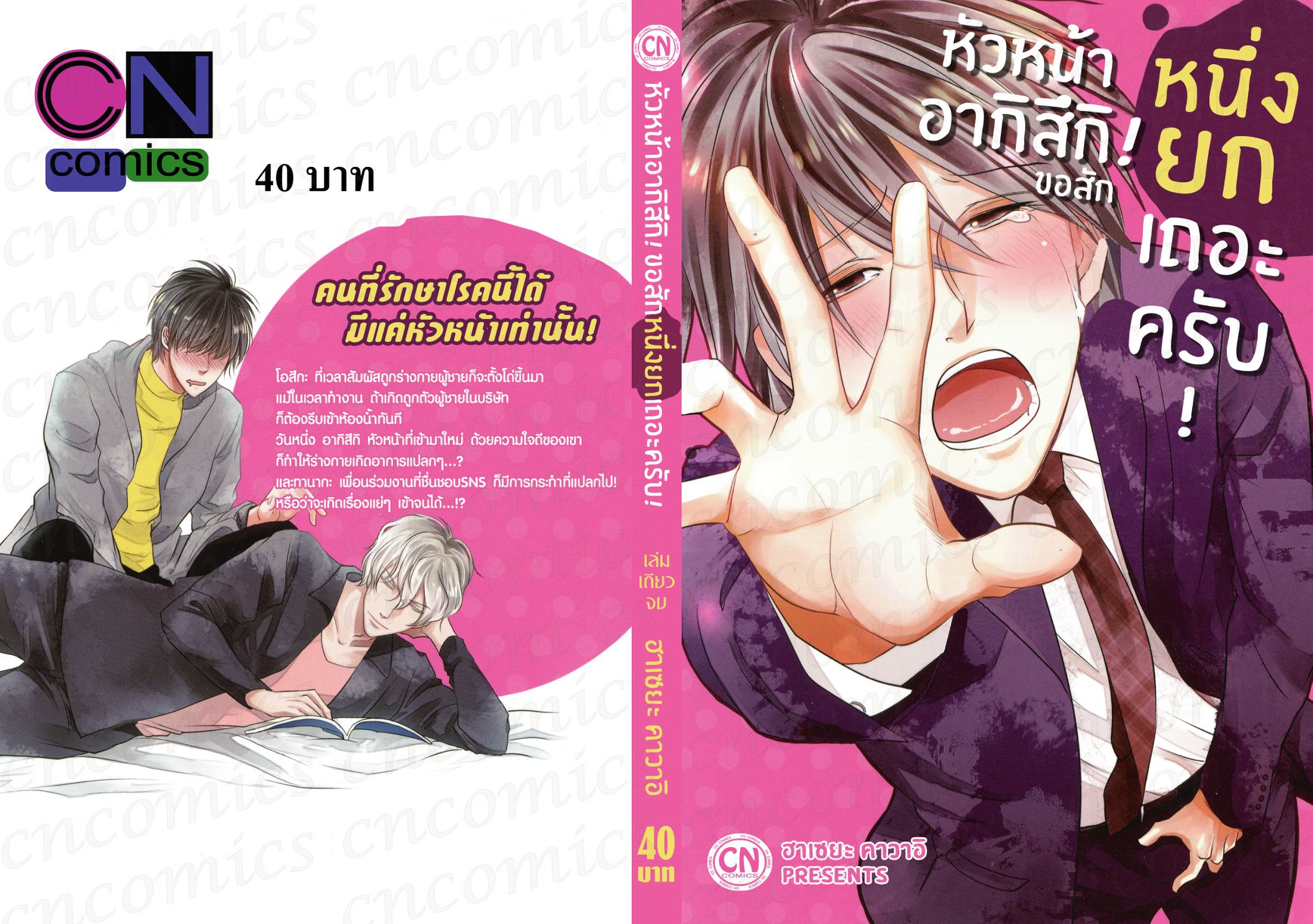 หัวหน้าอากิสึกิ! ขอสักหนึ่งยกเถอะครับ: ฮาเซยะ คาวาอิ