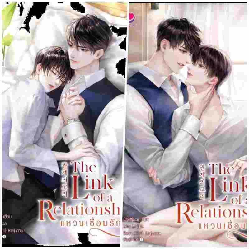 (แยกเล่ม) The Link of a Relationship แหวนเชื่อมรัก เล่ม 1-2 (2 เล่มจบ) (วายแปลเกาหลี)