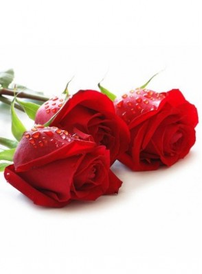 หัวน้ำหอมกุหลาบ Rose Fragrance