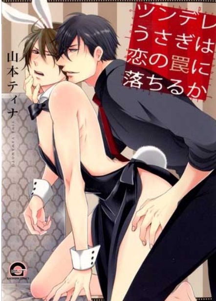 กลเม็ดวางกับดักคุณกระต่าย / YAMAMOTO Tina - D113