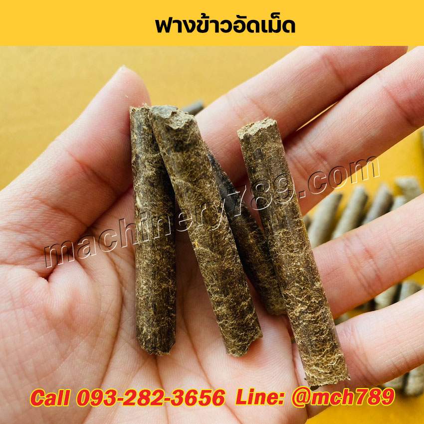 เครื่องอัดเม็ดเชื้อเพลิงชีวมวลขนาดเล็ก MINI กำลังผลิตเริ่มต้น 150-1,200 กก./ชม. เครื่องอัดเม็ดเชื้อเพลิงชีวมวล เครื่องอัดแท่งชีวมวล เครื่องอัดเม็ดรุ่นเล็ก Mini Wood Pellet Making Machine