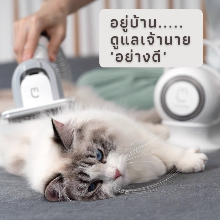 Rock Space Neabot Pet Grooming vacuum P1 Pro เครื่องแปรงขน ตัดขนและดูดขน แบบ 3 in 1 รับประกัน 1 ปี