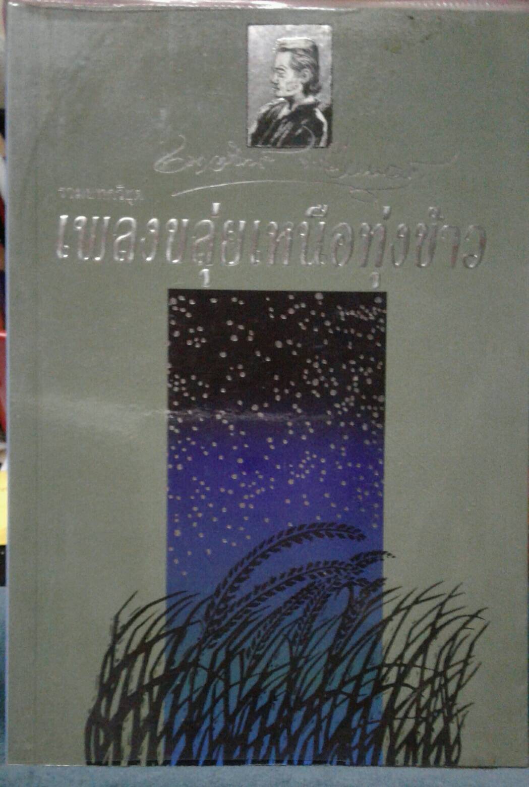 เพลงขลุ่ยเหนือทุ่งข้าว