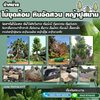 หินเทียม โทร 062-1596623 รับจัดสวน น้ำ กหินเทียม จัดสวนหน้าบ้าน ทำน้ำตก ปูหญ้า จัดสวนหย่อม