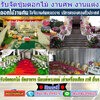 ร้านพวงหรีดใกล้ สั่งพวงหรีด โทร 064-0639845 สั่งออนไลน์ได้เลย ส่งฟรี ส่งเร็ว ตรงเวลา ถ่ายรูปสินค้าหลังจัดส่ง รับจัดส่งในนามองค์กร