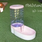 ที่ให้น้ำถังเหลี่ยมชมพู (รวมส่ง)