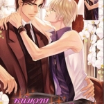 หนุ่มวายกับชายในฝัน by uriuri