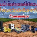 เลือกปั๊มน้ำโซล่าเซลล์สำหรับสวนของเรากี่วัตต์wattกี่แรงHPดี?