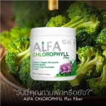 ALFA CHLOROPHYLL Plus Fiber