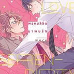 พรหมลิขิตมาพบรัก : meco