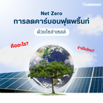 Net Zero กับการลดคาร์บอนฟุตพริ้นท์ด้วยโซล่าเซลล์ คืออะไร? จำเป็นไหม?