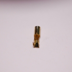 หางปลาเสียบกลม ตัวเมีย ทองเหลือง