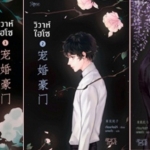 Set วิวาห์ไฮโซ 3 เล่มจบ ครบชุด / เจียนเจียนีจึ