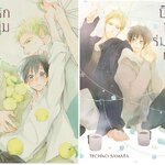 ปิ๊งรักหนุ่มร่มกันแดด 2 เล่มจบ