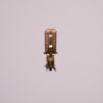 หางปลาเสียบแบน ตัวผู้ ทองเหลือง