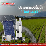ปั๊มน้ำโซล่าเซลล์ [Solar Pump]
