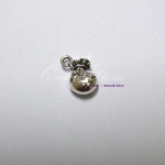 จี้ถุงเงิน