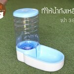 ที่ให้น้ำถังเหลี่ยมฟ้า (รวมส่ง)