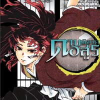 ดาบพิฆาตอสูร เล่ม 20