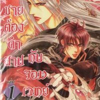 เจ้าชายต้องคำสาป กับ จอมเวทย์สีเงิน เล่ม 1