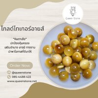 โกลด์ไทเกอร์อายส์