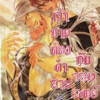 เจ้าชายต้องคำสาป กับ จอมเวทย์สีเงิน เล่ม 3