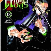 ดาบพิฆาตอสูร เล่ม 13 - ผันแปรเปลี่ยนสภาพ
